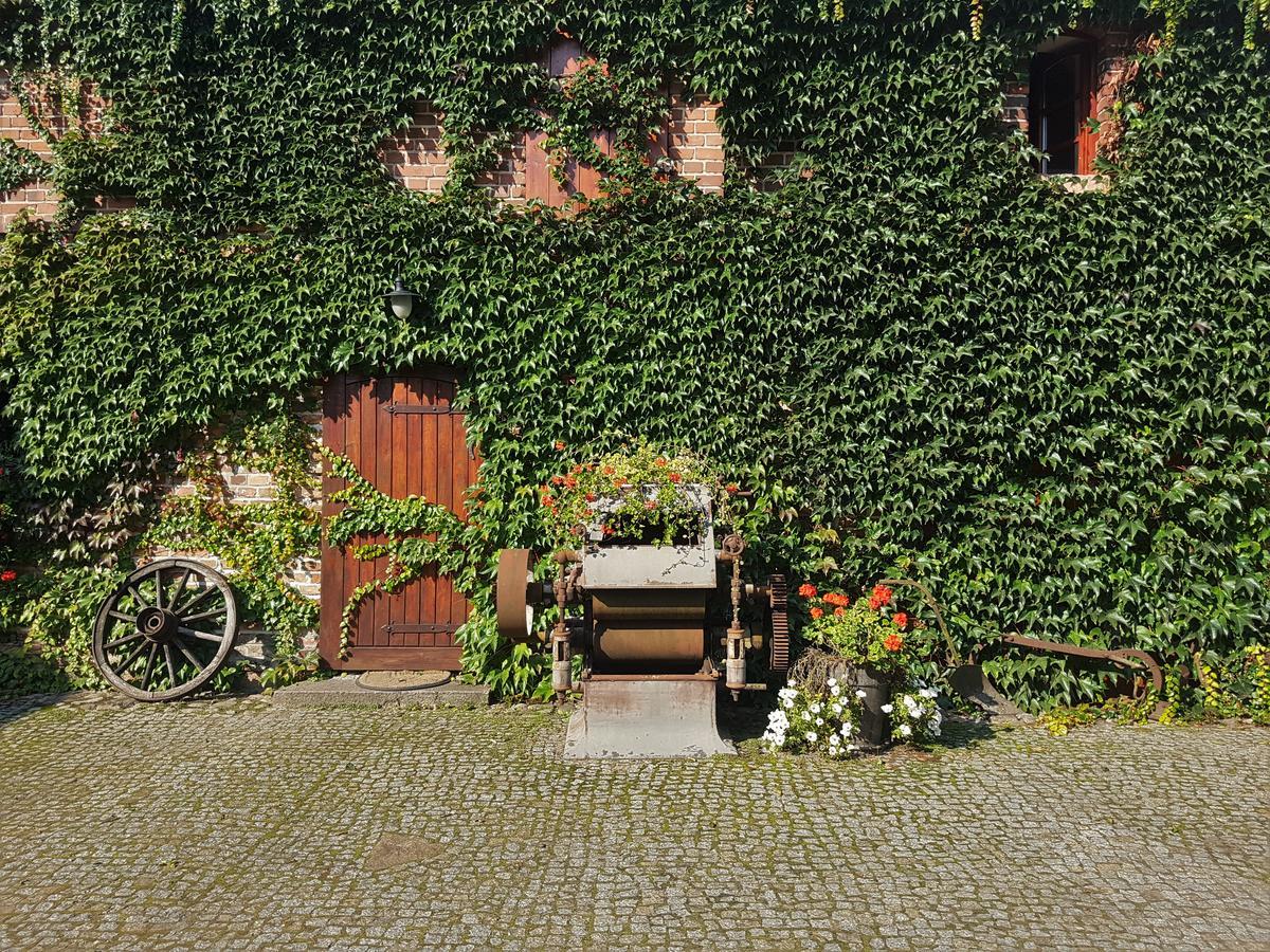 Hotel Leniwka Świebodzin Exterior foto